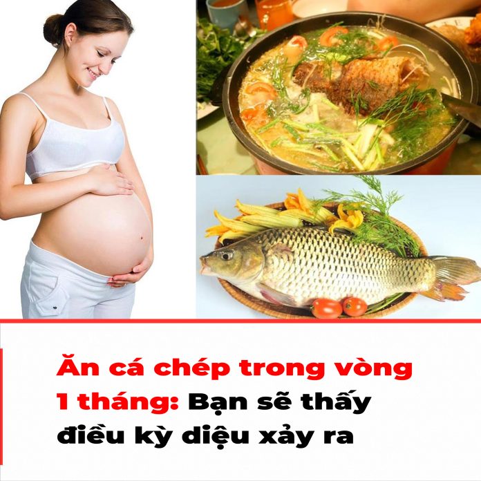 Ăn cá chép trong vòng 1 tháng Bạn sẽ thấy điều kỳ diệu xảy ra