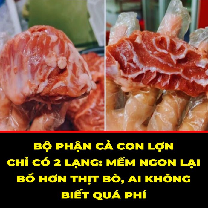 BỘ PHẬN CẢ CON LỢN CHỈ CÓ 2 LẠNG MỀM NGON LẠI BỔ HƠN THỊT BÒ, AI KHÔNG BIẾT QUÁ PHÍ