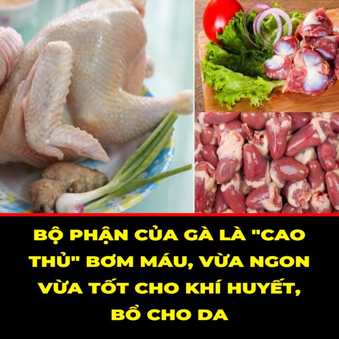 BỘ PHẬN CỦA GÀ LÀ CAO THỦ BƠM MÁU, VỪA NGON VỪA TỐT CHO KHÍ HUYẾT, BỔ CHO DA