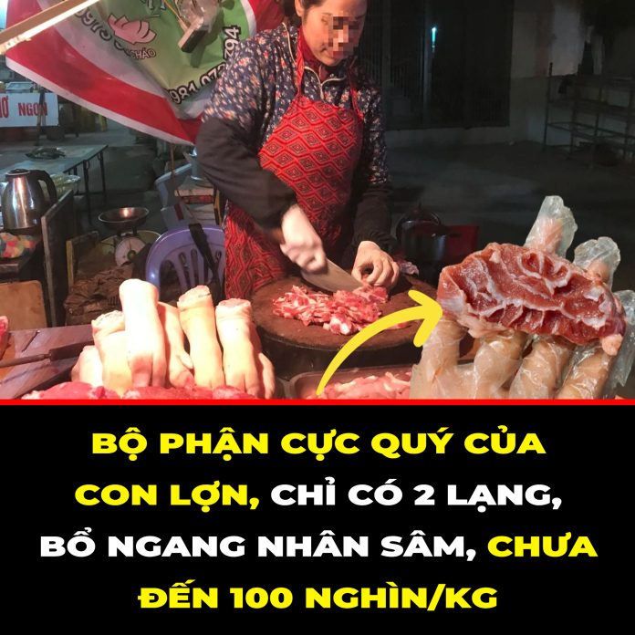 BỘ PHẬN CỰC QUÝ CỦA CON LỢN, CHỈ CÓ 2 LẠNG, BỔ NGANG NHÂN SÂM, CHƯA ĐẾN 100 NGHÌNKG