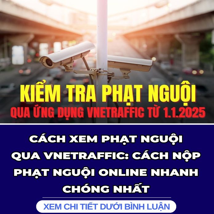CÁCH XEM PHẠT NGUỘI QUA VNETRAFFIC CÁCH NỘP PHẠT NGUỘI ONLINE NHANH CHÓNG NHẤT