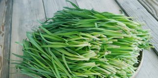 Cây hẹ – thần dược giá siêu rẻ cho sức khỏe mọi người
