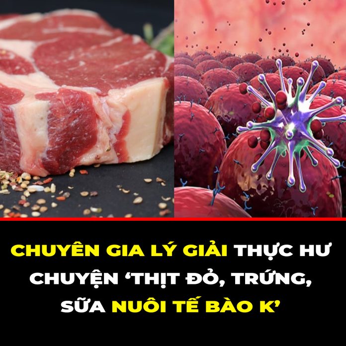 CHUYÊN GIA LÝ GIẢI THỰC HƯ CHUYỆN ‘THỊT ĐỎ, TRỨNG, SỮA NUÔI TẾ BÀO K’