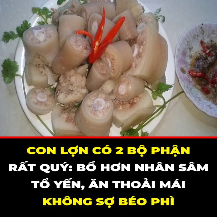 CON LỢN CÓ 2 BỘ PHẬN RẤT QUÝ BỔ HƠN NHÂN SÂM TỔ YẾN, ĂN THOẢI MÁI KHÔNG SỢ BÉO PHÌ