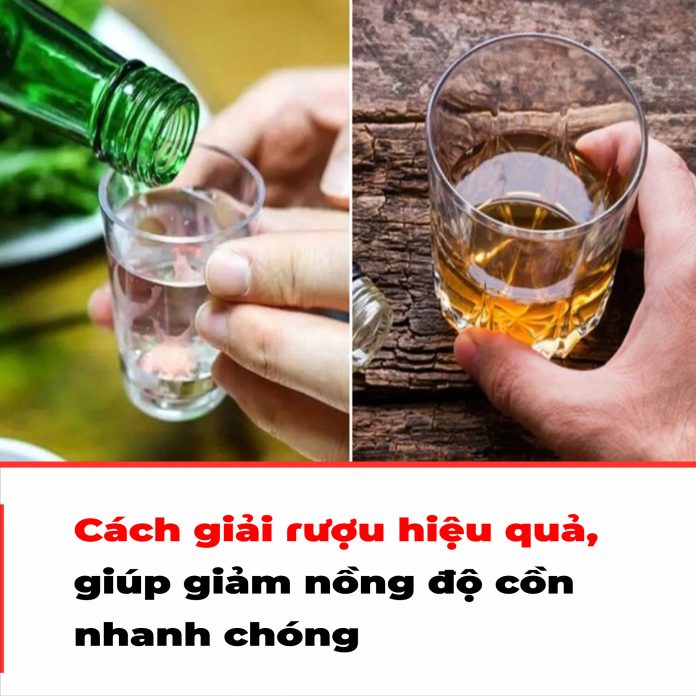 Cách giải rượu hiệu quả, giúp giảm nồng độ cồn nhanh chóng
