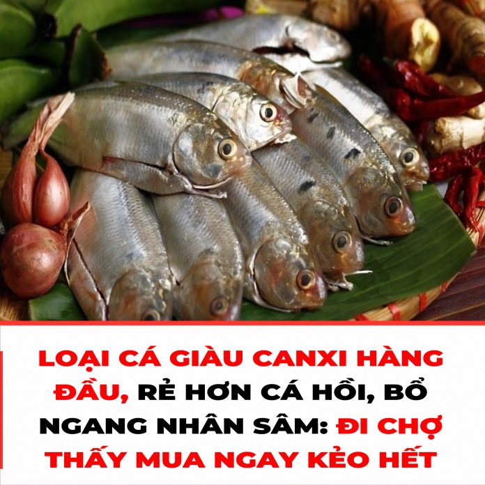 LOẠI CÁ GIÀU CANXI HÀNG ĐẦU, RẺ HƠN CÁ HỒI, BỔ NGANG NHÂN SÂM ĐI CHỢ THẤY MUA NGAY KẺO HẾT