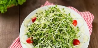 Loại rau quen thuộc chứa đầy vi khuẩn, ăn vào cẩn thận rước bệnh