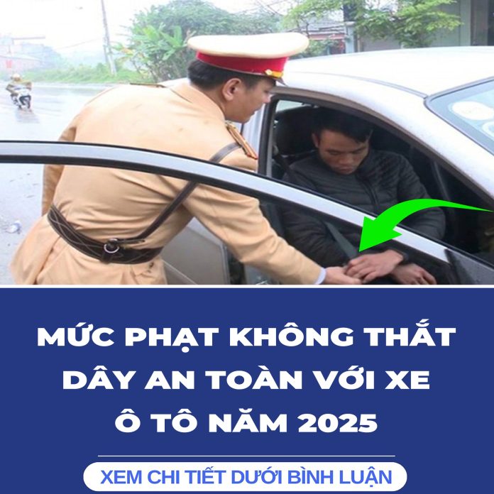 MỨC PHẠT KHÔNG THẮT DÂY AN TOÀN VỚI XE Ô TÔ NĂM 20251