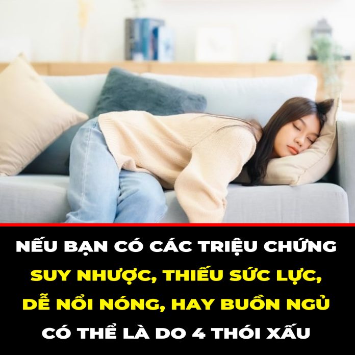 NẾU BẠN CÓ CÁC TRIỆU CHỨNG SUY NHƯỢC, THIẾU SỨC LỰC, DỄ NỔI NÓNG, HAY BUỒN NGỦ CÓ THỂ LÀ DO 4 THÓI XẤU