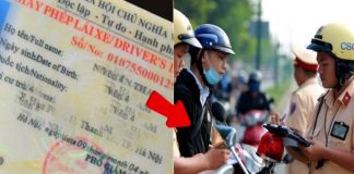 Nếu bị tịch thu bằng lái, người vi phạm có còn được phép lái xe nữa hay không?