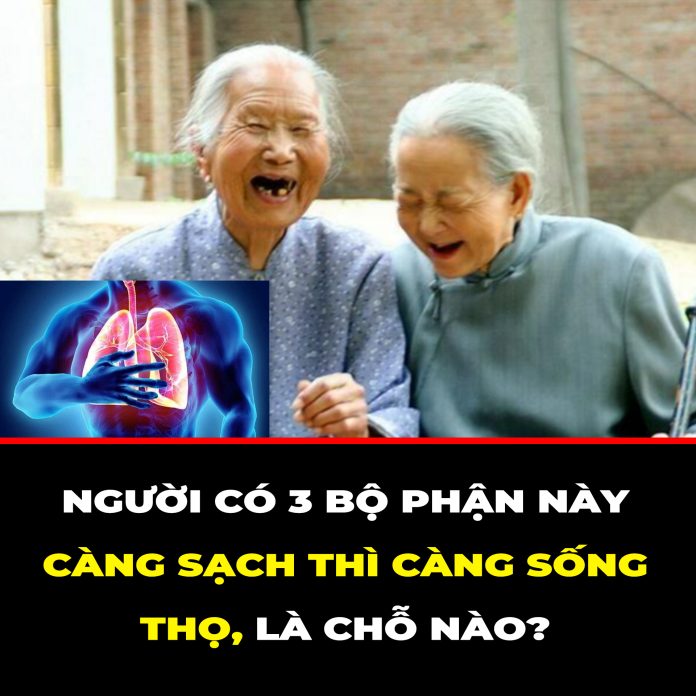 NGƯỜI CÓ 3 BỘ PHẬN NÀY CÀNG SẠCH THÌ CÀNG SỐNG THỌ, LÀ CHỖ NÀO