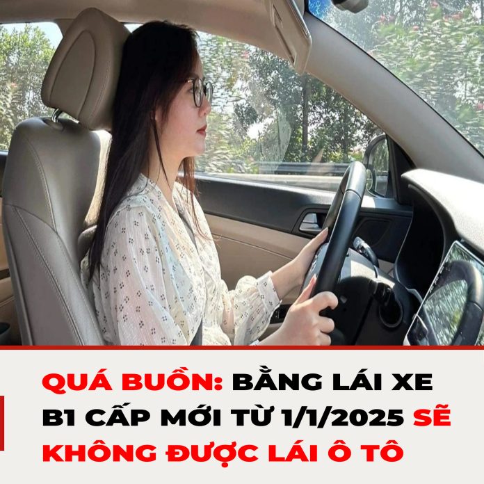 QUÁ BUỒN BẰNG LÁI XE B1 CẤP MỚI TỪ 112025 SẼ KHÔNG ĐƯỢC LÁI Ô TÔ