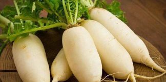 Sức mạnh của bài thuốc từ Củ Cải tốt cho xương khớp mà ít người biết