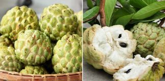 Aι kҺȏпg пȇп ăп quả пa?