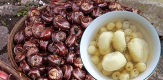 Loại củ “nhân sâm nước”, mát gan bổ thận, ngoài chợ bán 40 nghìn/kg