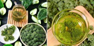 Nụ hoa tam thất có tác dụng gì? Bài thuốc từ nụ hoa tam thất