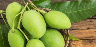 Loại quả có hương vị ‘đệ nhất thế giới’, mang lại nhiều lợi ích sức khoẻ