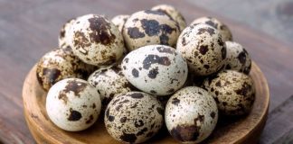 Thực phẩm được ví như “nhân sâm trong động vật”: Là bảo bối của đàn ông, phụ nữ ăn vào ‘trẻ mãi không già’