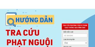 Cách check phạt nguội xe ô tô năm 2024: Người dân và doanh nghiệp cần biết