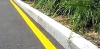 Cách nhận biết vạch kẻ đường cấm đỗ xe, dừng xe