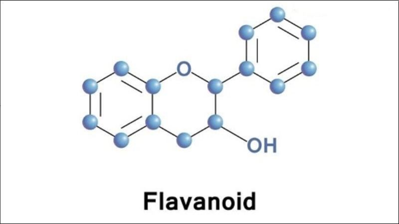 Flavonoid trong cây xương khỉ có tác dụng chống oxy hóa cực mạnh