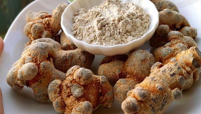 Củ Tam Thất Nam: Đặc Điểm, Công Dụng Và Bài Thuốc Trị Bệnh - Thực phẩm online