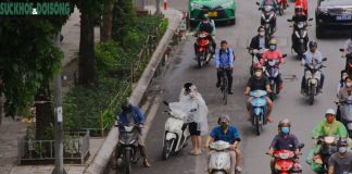 Thông tin chính thức trước tin dừng xe mặc áo mưa sẽ bị phạt đến 14 triệu đồng