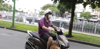 Đi xe máy chở theo thú cưng sẽ bị phạt đến 14 triệu đồng