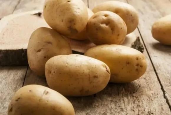 Khoai tây dễ nảy mầm khi để lạnh, sinh ra chất độc solanin gây hại sức khỏe. 