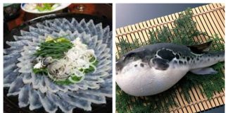 6 loại cá tưởng bổ béo nhưng chứa kim loại nặng: Đặc biệt loại thứ 2 chứa nhiều thủy ngân nên tránh xa