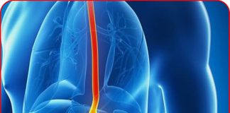 7 dấu hiệu ung thư dạ dày giai đoạn sớm, ai cũng cần biết kẻo di căn xa