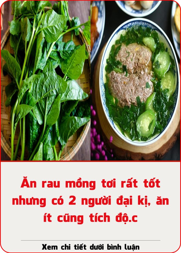 Ăn rau mồng tơi rất tốt nhưng có 2 người đại kị, ăn ít cũng tích độ.c