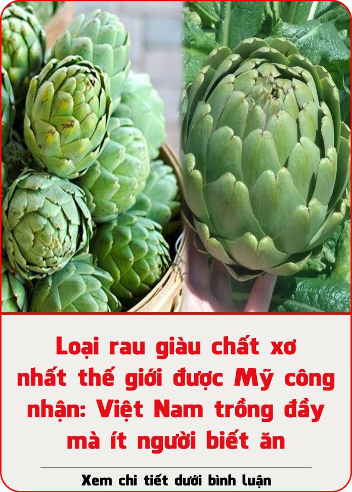Loại rau giàu chất xơ nhất thế giới được Mỹ công nhận