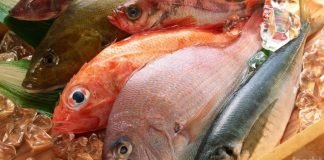 Cách nhận biết cá nhiễm Urê: Dù rẻ như cho cũng đừng mua