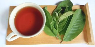 Uống nước lá ổi, cơ thể nhận được 6 lợi ích tuyệt vời này