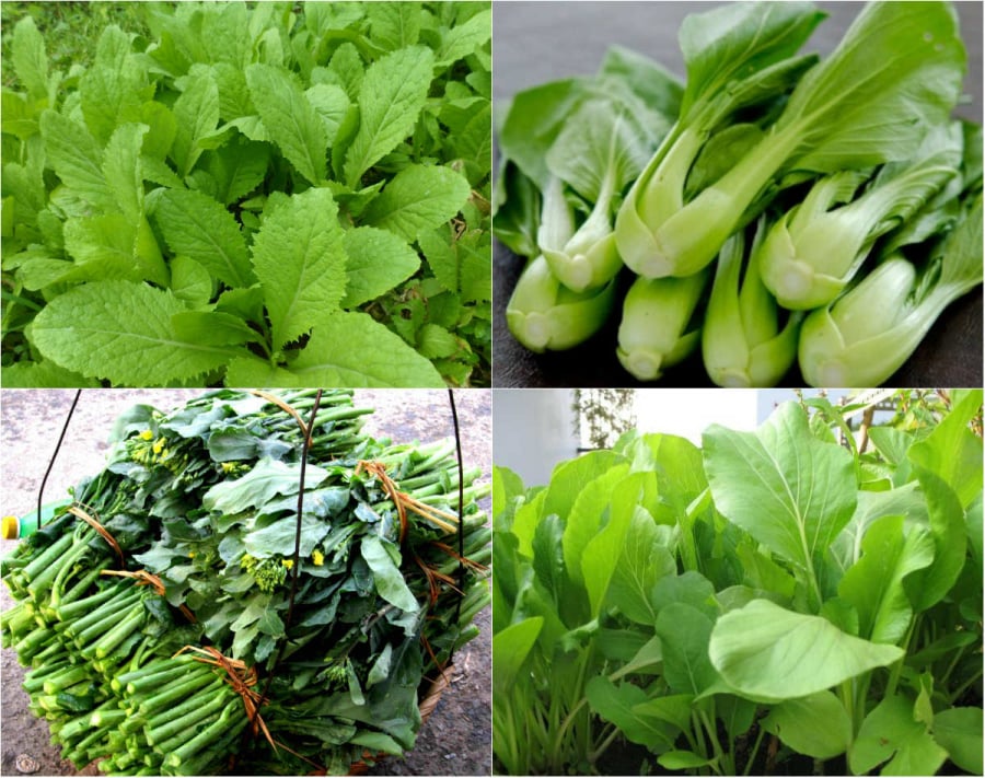 Những loại rau chứa nhiều thuốc trừ sâu nhất chợ