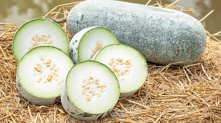 thuc-pham-dai-ky-voi-bi-dao-01