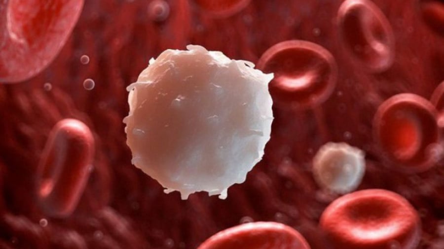 7 dấu hiệu của ung thư máu giai đoạn sớm, ai cũng cần biết rõ