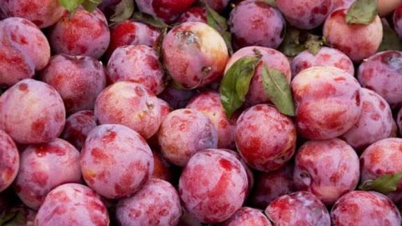 quả mận, ai không nên ăn quả mận, ăn mận đúng cách