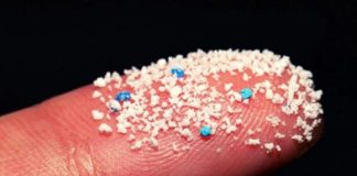 Có một kiểu nấu ăn trong 3 phút tạo ra hàng tỷ hạt vi nhựa siêu nhỏ: Nhiều người Việt vẫn đang làm hàng ngày