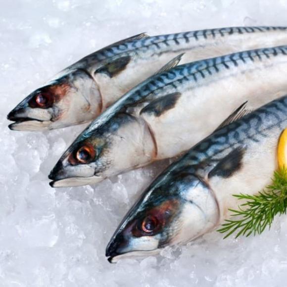 cá nục, cá thu, cá trích, chăm sóc sức khỏe