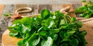 Mỹ công bố 10 loại rau tốt nhất thế giới, Việt Nam có rất nhiều mà nhiều người không biết sử dụng