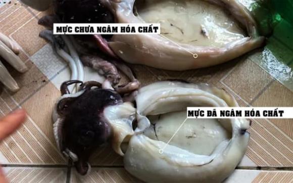 hải sản ngậm hóa chất, thực phẩm sạch, chăm sóc sức khỏe