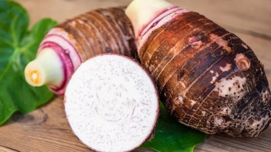 4-thuc-pham-song-tho-4