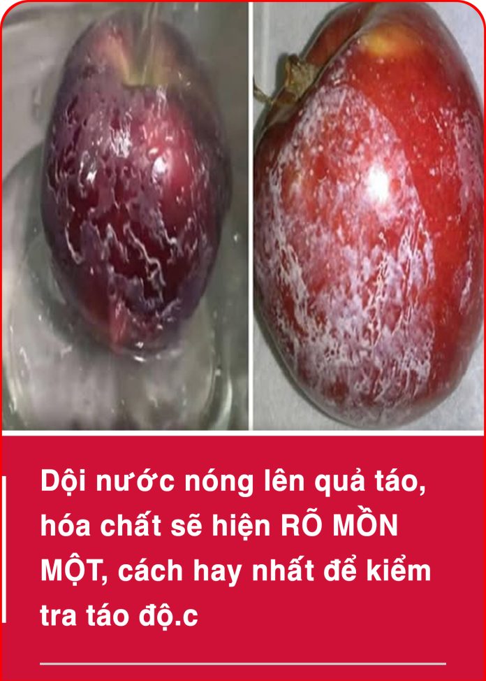 495195816_993011099668356_1394503479735456536_n