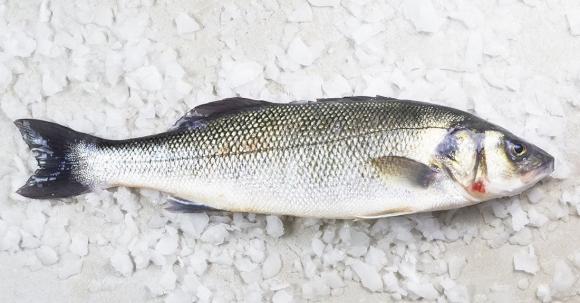 cá nục, cá thu, cá trích, chăm sóc sức khỏe