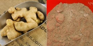 Bảo quản gừng bằng tủ lạnh là sai: Làm theo cách này để cả năm gừng vẫn tươi, không mọc mầm