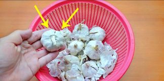 Mua tỏi về đừng vội cất đi, làm thêm bước này tỏi để cả năm không mọc mầm, không thối hỏng