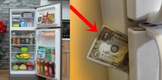 Nhét tờ tiền vào khe cửa tủ lạnh: Phép thử quan trọng giúp tiết kiệm cả triệu tiền điện, nhiều nhà chưa biết