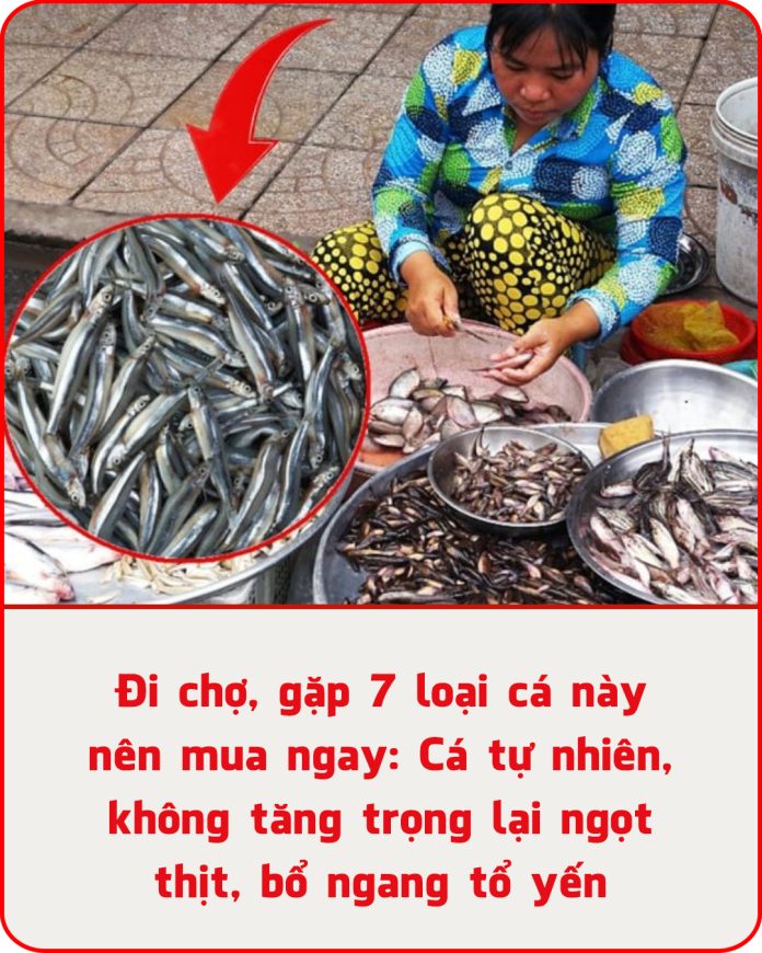 Đi chợ, gặp 7 loại cá này nên mua ngay Cá tự nhiên, không tăng trọng lại ngọt thịt, bồ ngang tổ yến